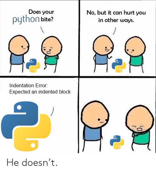 Python meme